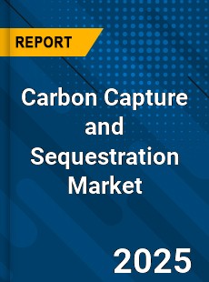 Carbon Capture and Sequestration Global Market