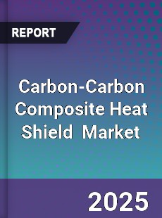 Carbon Carbon Composite Heat Shield Global and China Top Players Market