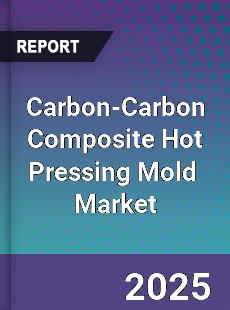 Carbon Carbon Composite Hot Pressing Mold Global and China Top Players Market