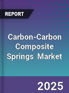 Carbon Carbon Composite Springs Global and China Top Players Market