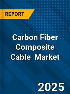 Carbon Fiber Composite Cable Global and China Top Players Market