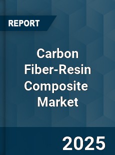 Global Carbon Fiber Resin Composite Professional Survey Report