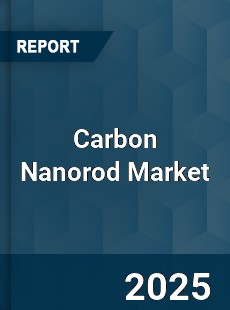 COVID 19 Outbreak Global Carbon Nanorod Industry
