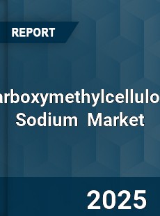 Global Carboxymethylcellulose Sodium Professional Survey Report