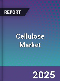 Global Cellulose Market