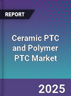 Global Ceramic PTC and Polymer PTC Market