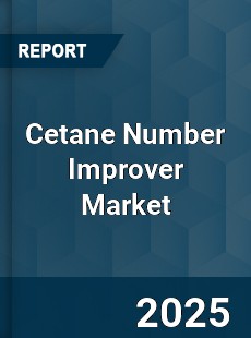 COVID 19 Outbreak Global Cetane Number Improver Industry