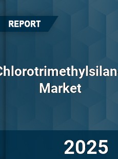 Global Chlorotrimethylsilane Industry
