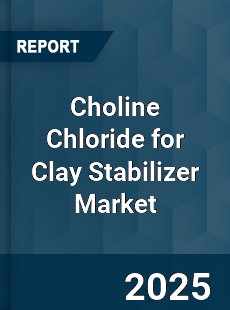 Choline Chloride for Clay Stabilizer Market