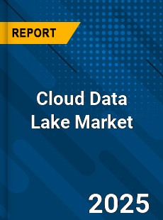 Global Cloud Data Lake Industry