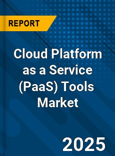Cloud Platform as a Service Tools Global and China Top Players Market