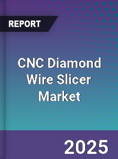 CNC Diamond Wire Slicer Market