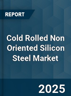 Global Cold Rolled Non Oriented Silicon Steel Market