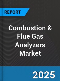 Global Combustion amp Flue Gas Analyzers Market