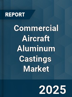 Commercial Aircraft Aluminum Castings Global and China Top Players Market
