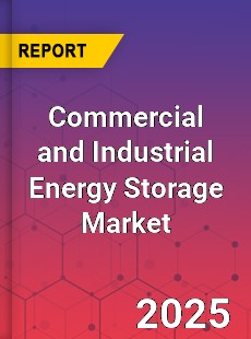 Commercial and Industrial Energy Storage Market