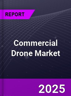 Global Commercial Drone Market
