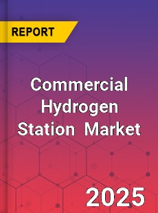 Global Commercial Hydrogen Station Industry