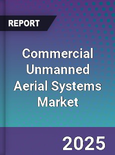 Global Commercial Unmanned Aerial Systems Market