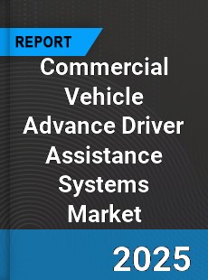Global Commercial Vehicle Advance Driver Assistance Systems Industry