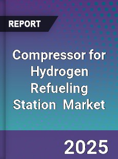 Global Compressor for Hydrogen Refueling Station Industry