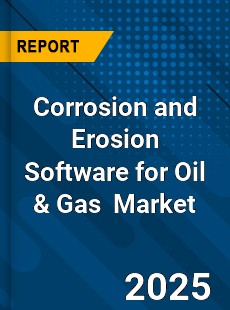 Report on Global Corrosion and Erosion Software for
