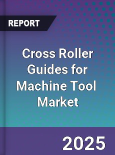 Cross Roller Guides for Machine Tool Global and China Top Players Market