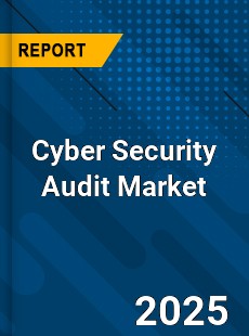 Global Cyber Security Audit Industry