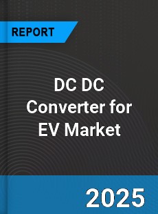 DC DC Converter for EV Market