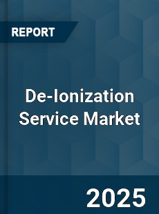 Global De Ionization Service Market