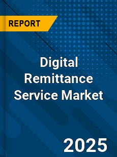 Global Digital Remittance Service Industry