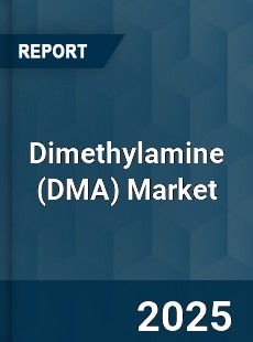COVID 19 Outbreak Global Dimethylamine Industry