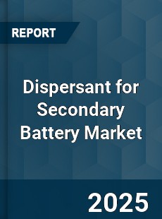 Dispersant for Secondary Battery Market