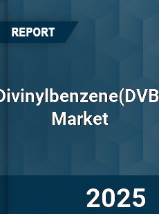 Divinylbenzene Market