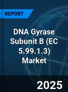 Global DNA Gyrase Subunit B Market