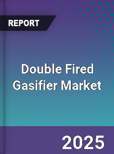 Global Double Fired Gasifier Market