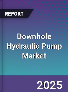 Global Downhole Hydraulic Pump Market