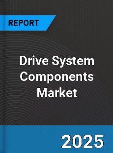 Global Drive System Components Market