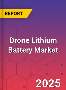 Drone Lithium Battery Global and China Top Players Market