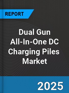 Global Dual Gun All In One DC Charging Piles Industry