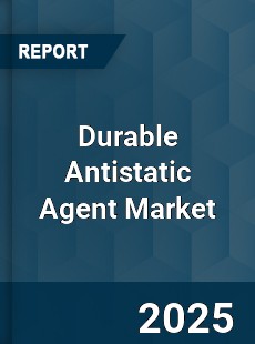 Durable Antistatic Agent Market
