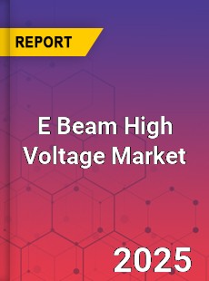 Global E Beam High Voltage Market