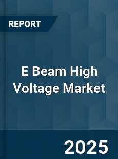Global E Beam High Voltage Industry