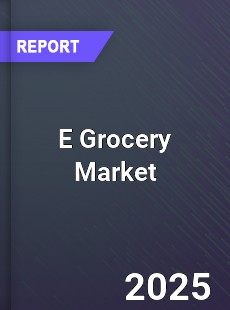 Global E Grocery Market