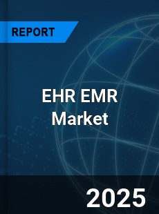 Global EHR EMR Industry