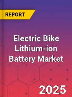 Electric Bike Lithium ion Battery Global and China Top Players Market