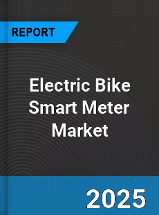 Electric Bike Smart Meter Global and China Top Players Market