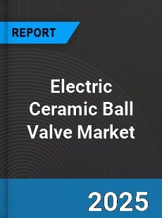 Global Electric Ceramic Ball Valve Market
