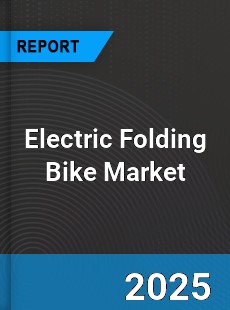 Electric Folding Bike