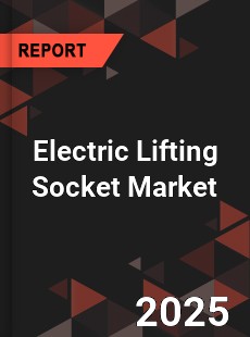 Electric Lifting Socket Global and China Top Players Market